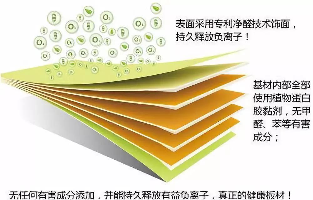 濃情端午,粽葉飄香 環(huán)保生活，健康你我